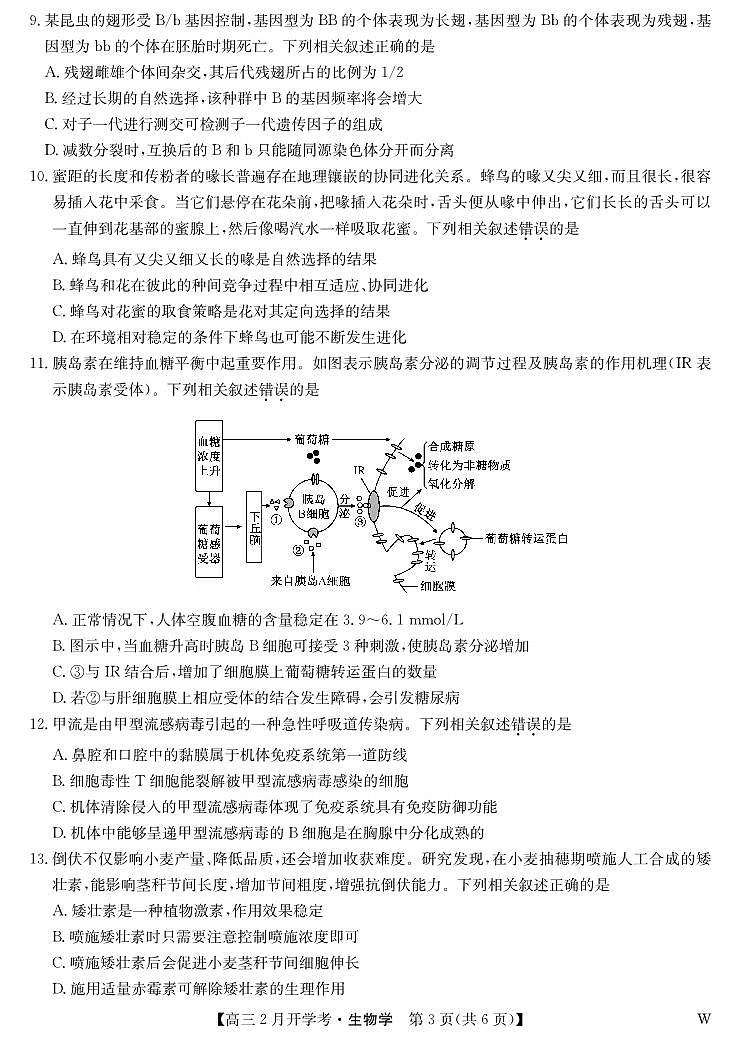 湖北部分学校2023-2024学年下学期高三2月开学考试 生物03