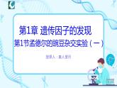 人教版（2019）高中生物学  必修二   遗传与进化   1.1.1孟德尔豌豆杂交实验（一）第1课时   课件