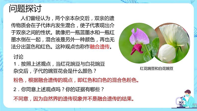 人教版（2019）高中生物学  必修二   遗传与进化   1.1.1孟德尔豌豆杂交实验（一）第1课时   课件第3页