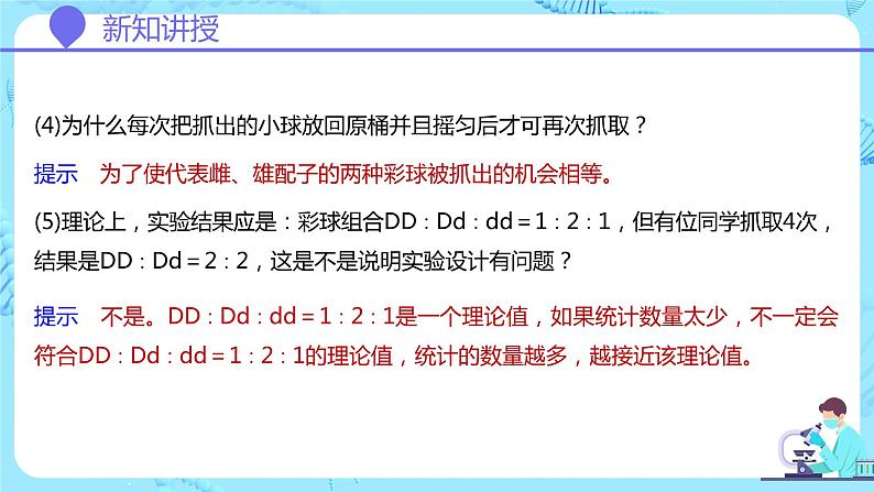 人教版（2019）高中生物学  必修二   遗传与进化   1.1.2孟德尔豌豆杂交实验（一）第2课时   课件06