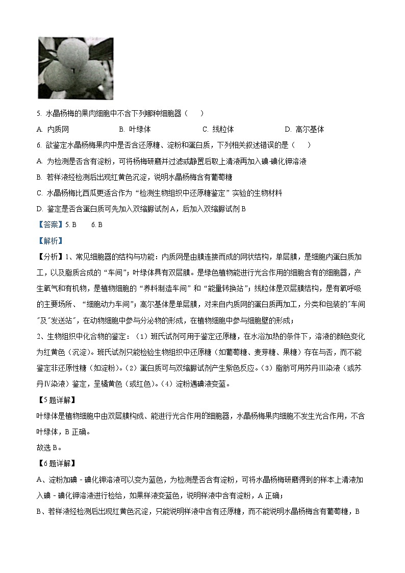 2024衢州高一上学期1月期末试题生物含解析03