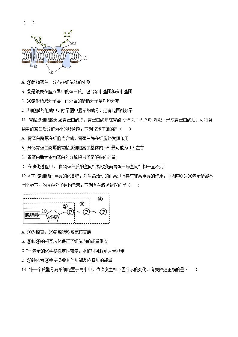 浙江省绍兴市2023-2024学年高一1月期末生物试题无答案第3页