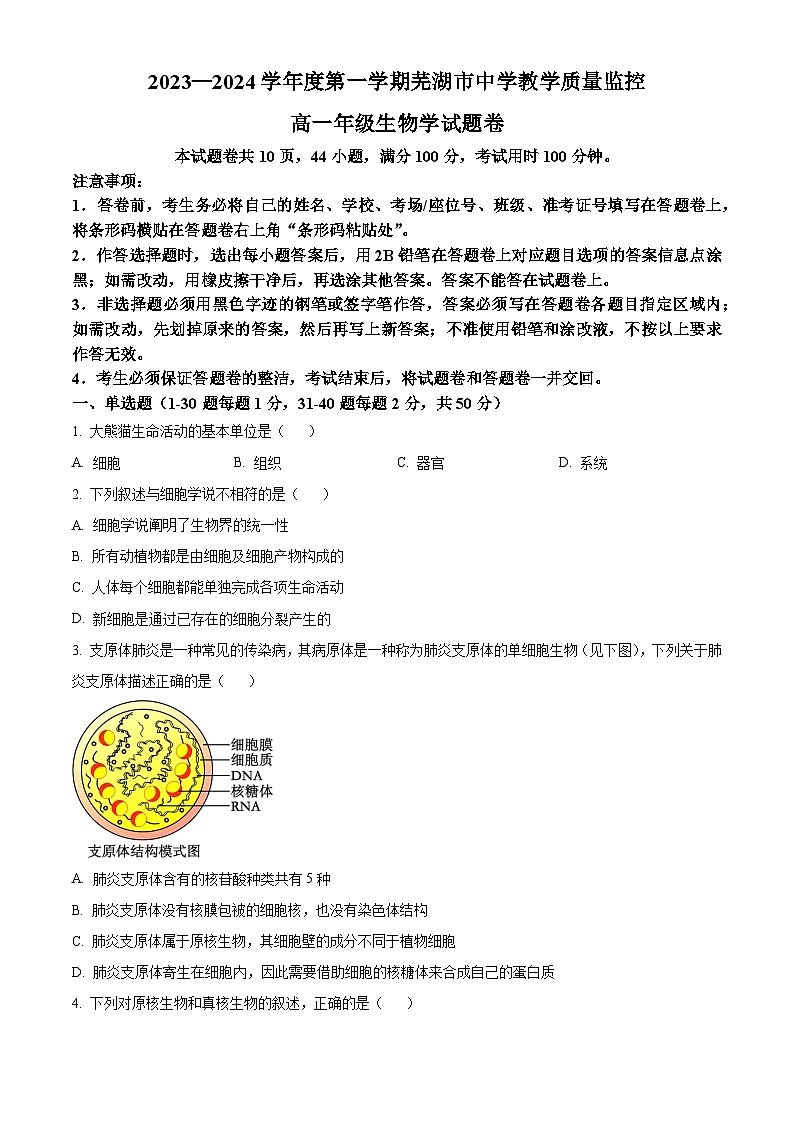 2024芜湖高一上学期期末考试生物含解析01