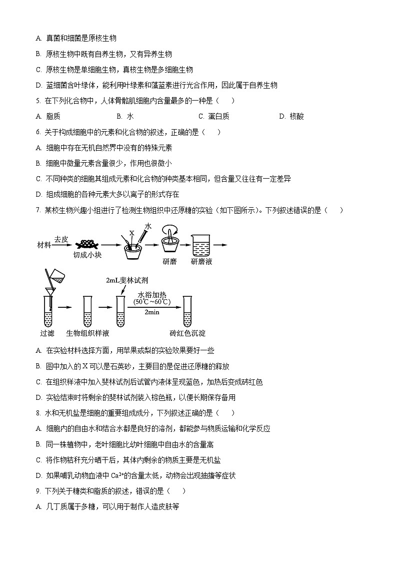 2024芜湖高一上学期期末考试生物含解析02