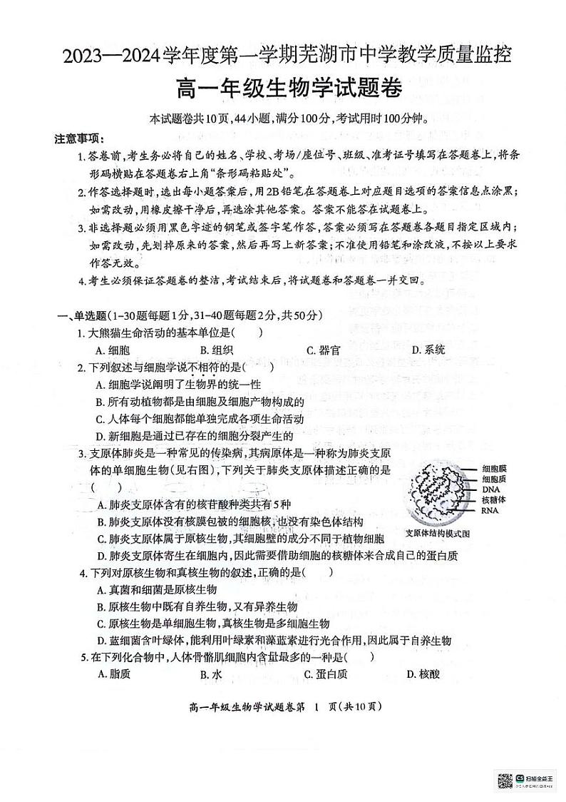 2024芜湖高一上学期期末考试生物PDF版含答案第1页