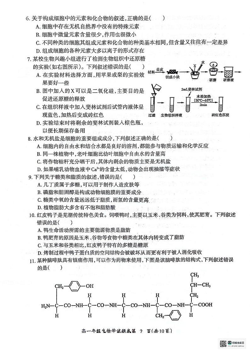 2024芜湖高一上学期期末考试生物PDF版含答案第2页