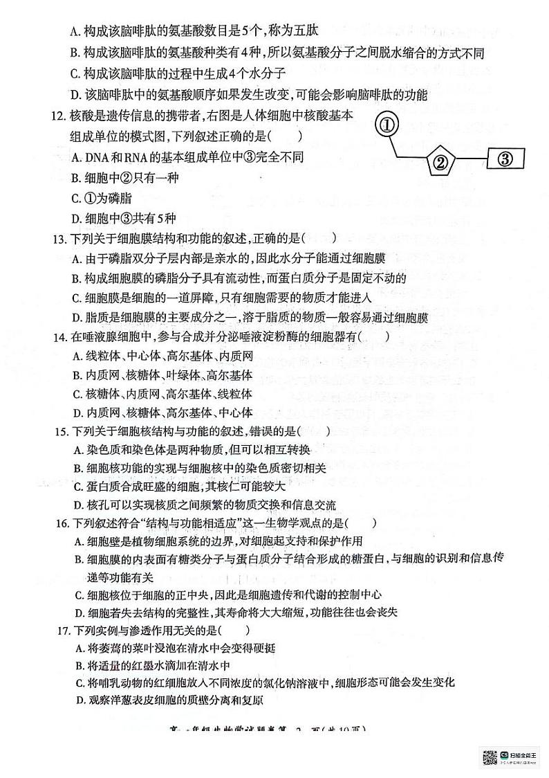 2024芜湖高一上学期期末考试生物PDF版含答案第3页