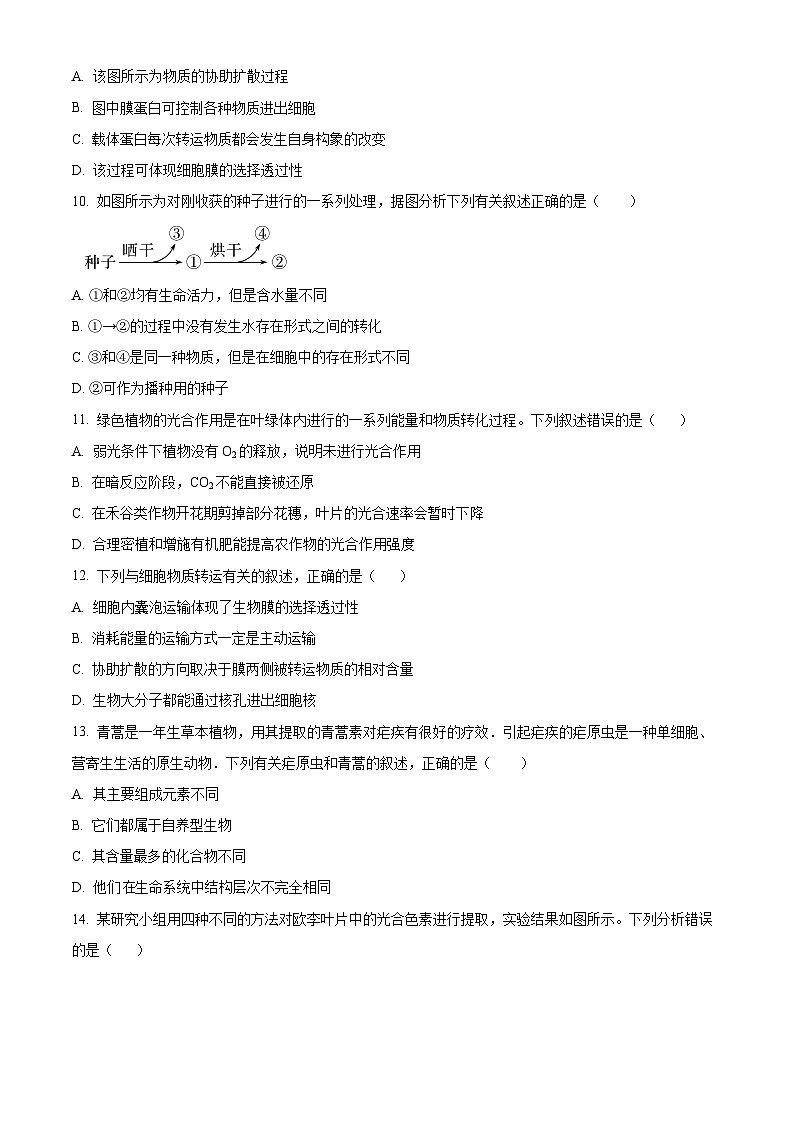 2024四川省叙永一中高一上学期期末考试生物含解析第3页