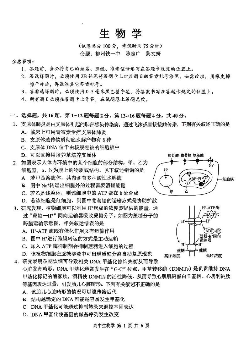 74，广西部分学校2024年高三下学期开学考试生物试题01