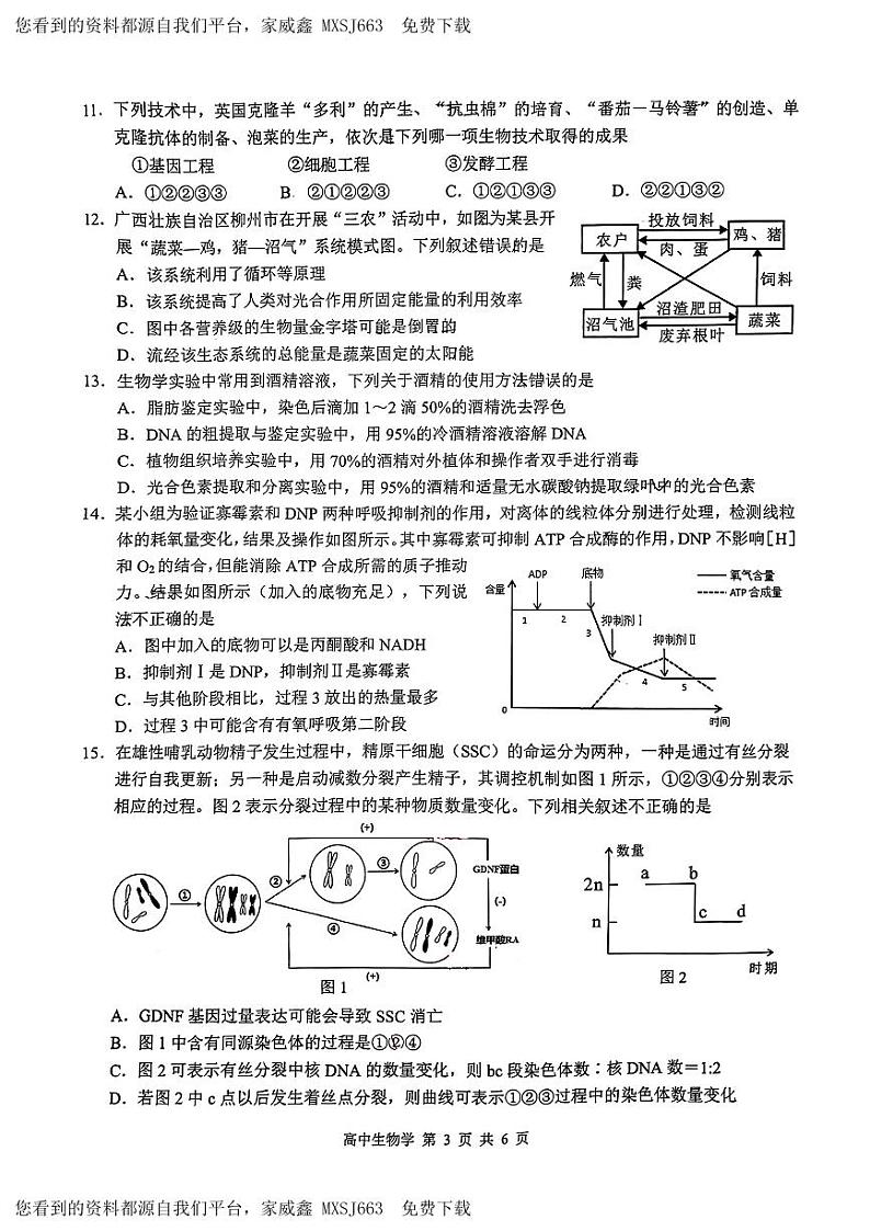 74，广西部分学校2024年高三下学期开学考试生物试题03