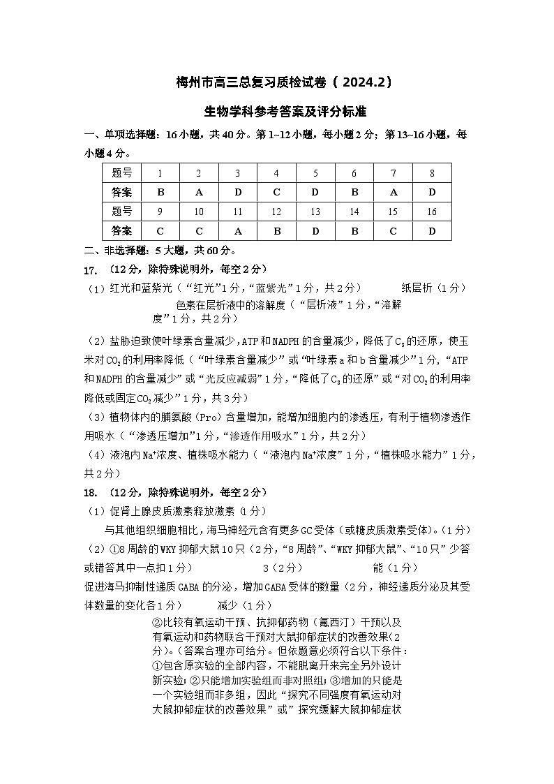 79，2024届广东省梅州市高三一模生物试题01