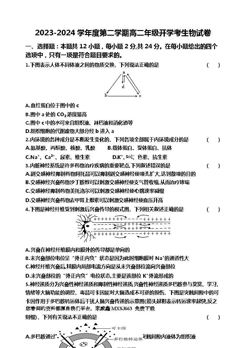 80，广东省雷州市第二中学2023-2024学年高二下学期开学考试生物试题(1)第1页