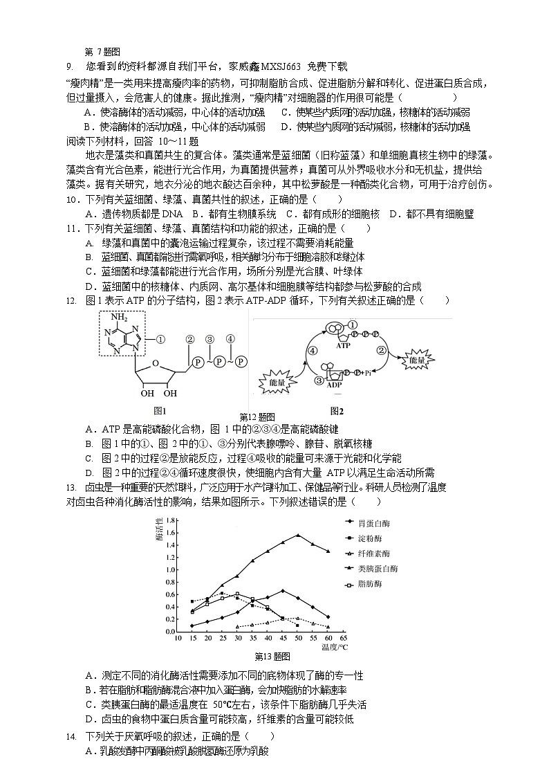 91，浙江省浙南名校2023-2024学年高一下学期开学考试生物试题02