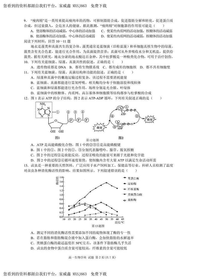 102，浙江省浙南名校2023-2024学年高一下学期开学考试生物试题第2页