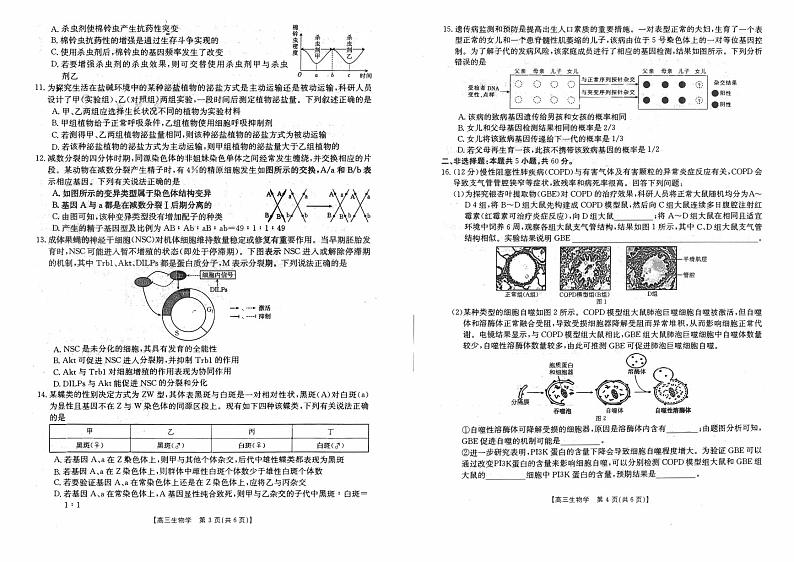 福建省宁德2023_2024高三生物上学期期中质量检测试题第2页