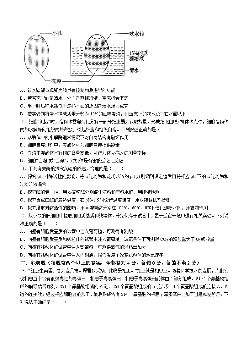 06，江西省抚州市南城一中2023—2024学年高一下学期开学考试生物试题()第3页