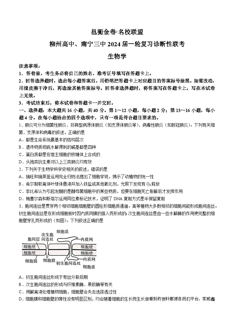 08，广西壮族自治区柳州高中、南宁三中2023—2024学年高三下学期联考生物试题()01