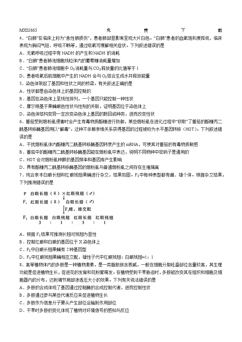 08，广西壮族自治区柳州高中、南宁三中2023—2024学年高三下学期联考生物试题()02