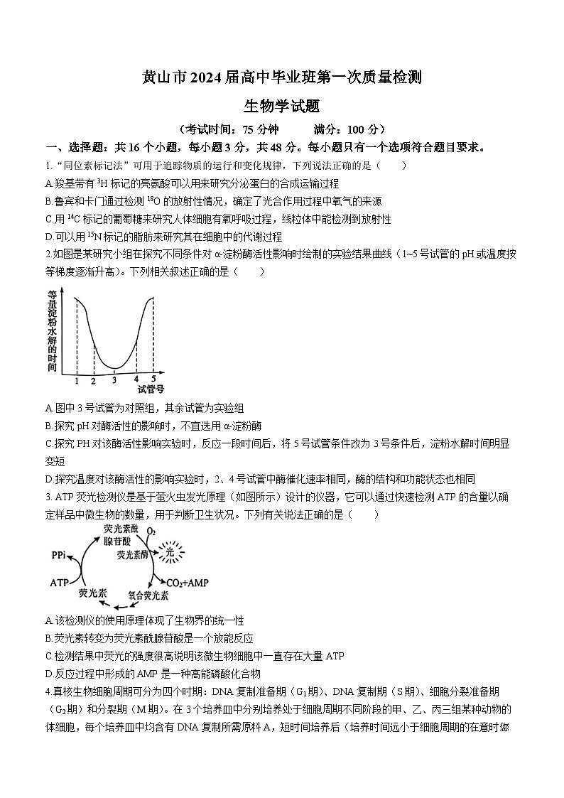 17，安徽省黄山市2023—2024学年高三下学期第一次质量检测生物试题()01
