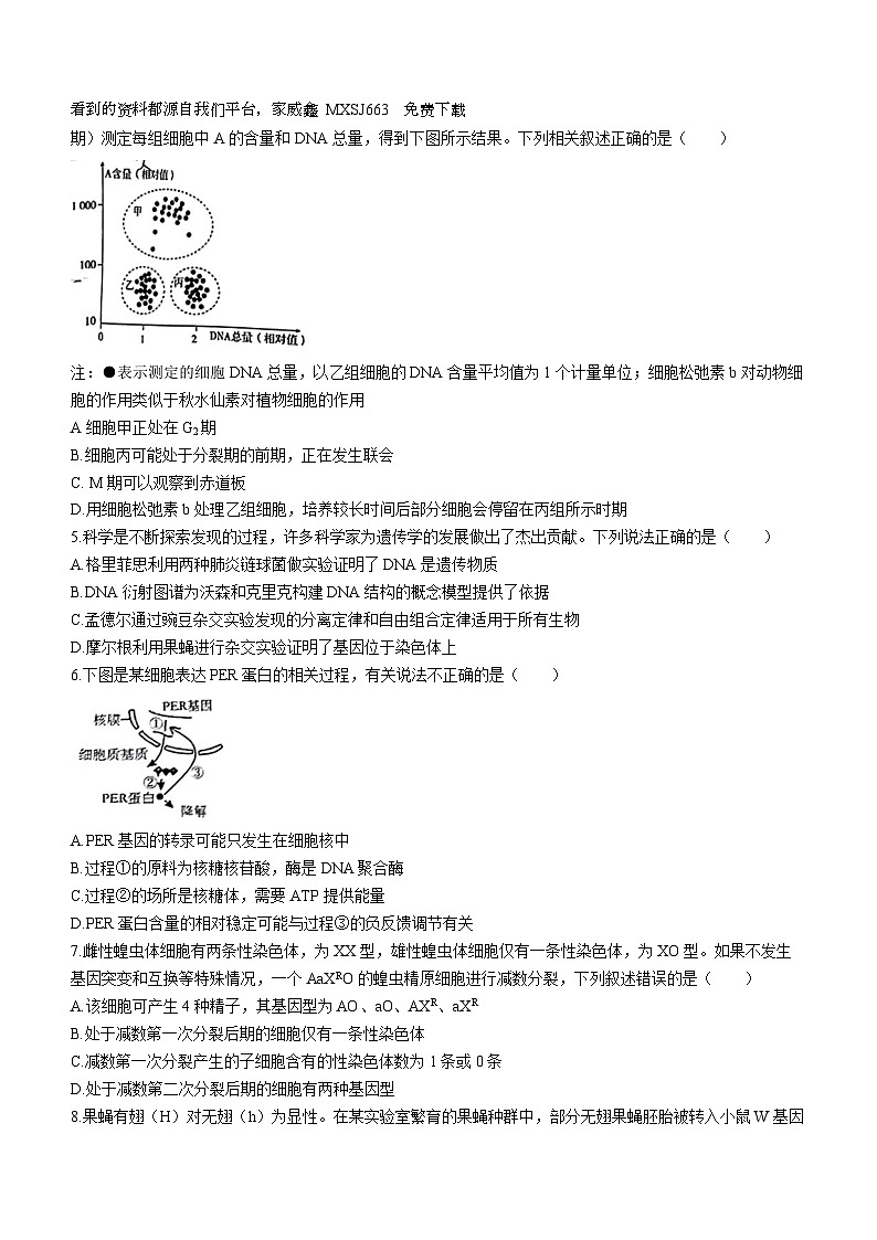 17，安徽省黄山市2023—2024学年高三下学期第一次质量检测生物试题()02