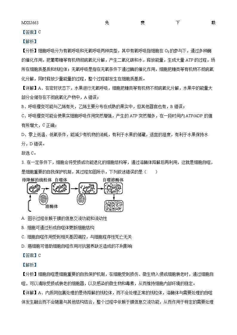 18，广东省东莞中学、广州二中、惠州一中等六校联考2023-2024学年高三下学期开学生物试题第2页
