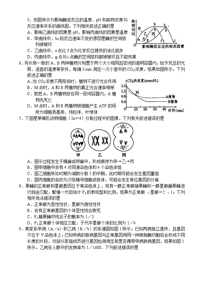 31，河南省漯河市2023-2024学年高三上学期期末质量监测生物试题第2页