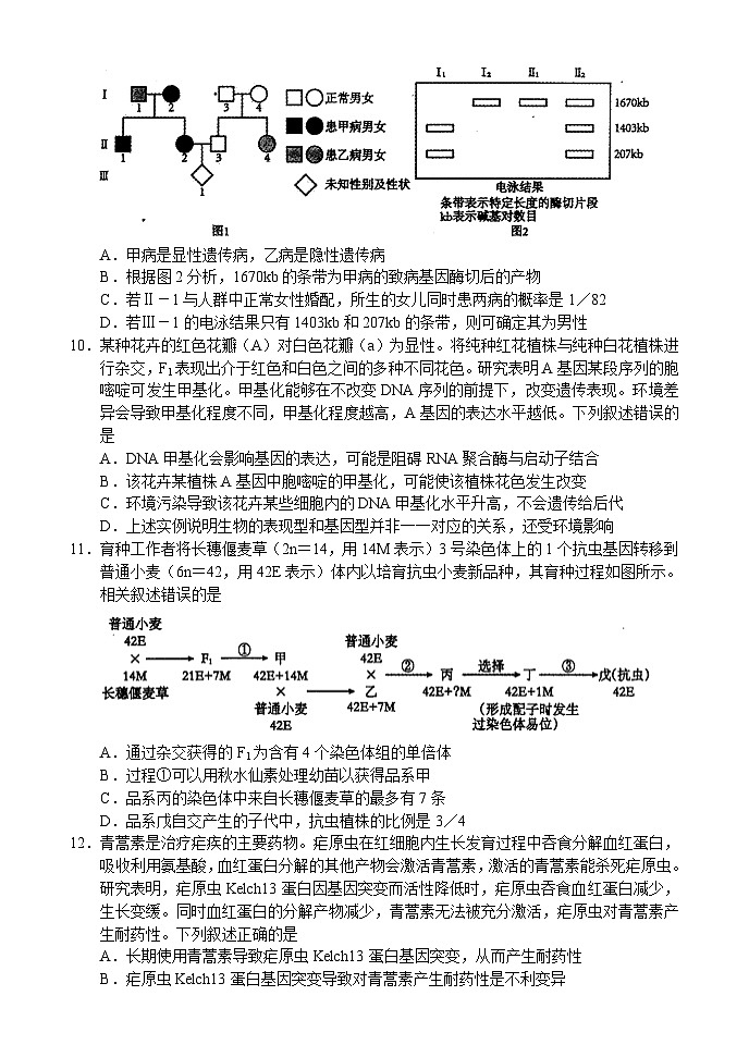 31，河南省漯河市2023-2024学年高三上学期期末质量监测生物试题第3页