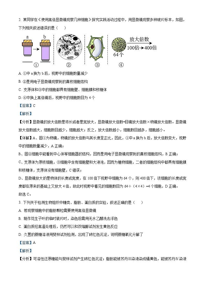 32，湖北省新高考联考协作体2023-2024学年高一下学期2月开学生物试题02