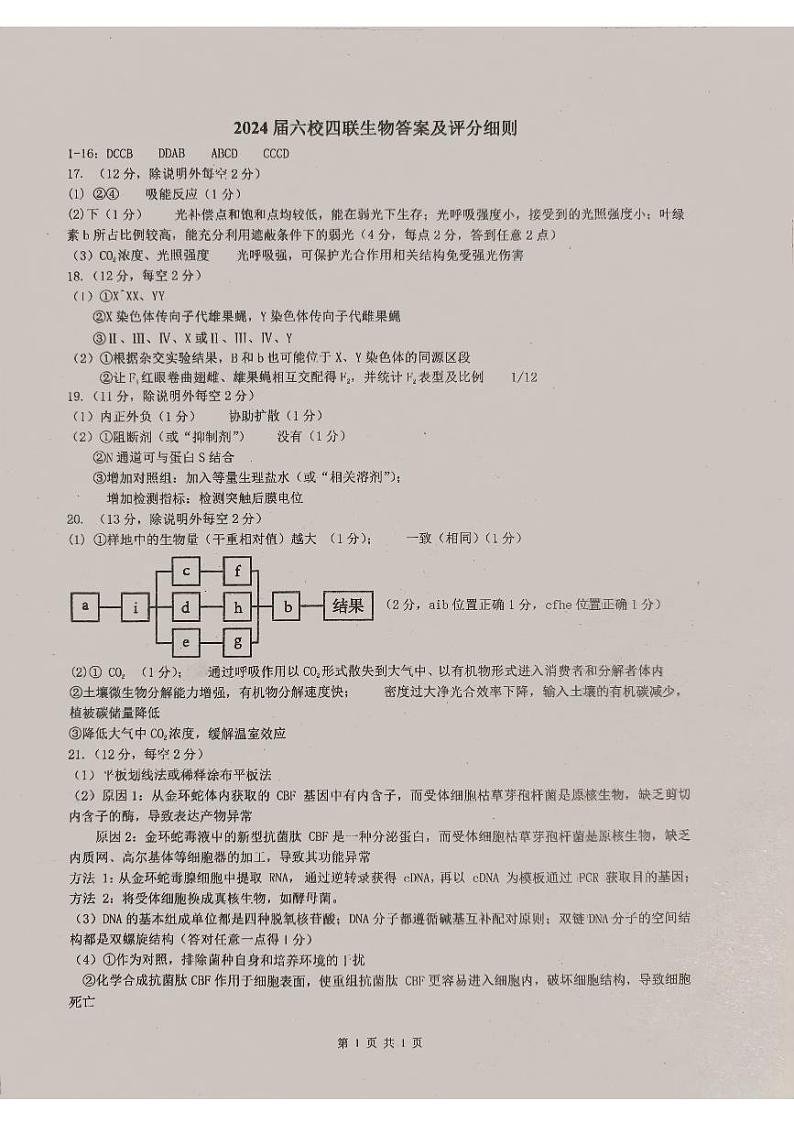 广东省东莞中学、广州二中、惠州一中、深圳实验、珠海一中、中山纪念中学2024届高三第四次六校联考生物试卷（PDF版附答案）01