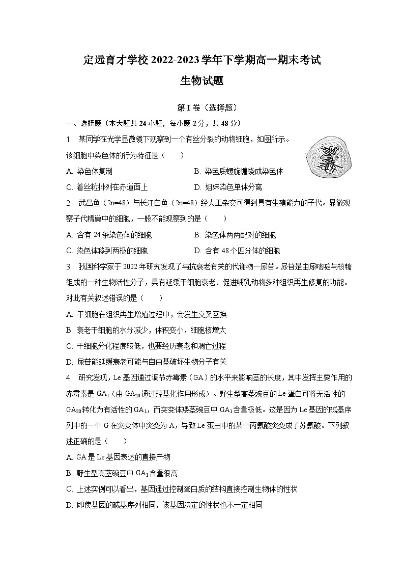安徽省滁州市定远县育才学校2022-2023学年高一下学期期末生物试卷01