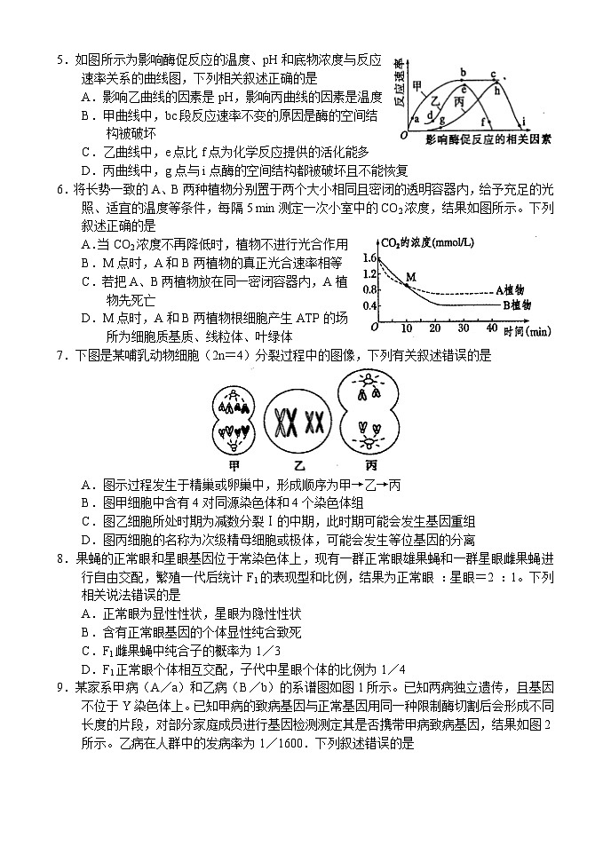 河南省漯河市2023-2024学年高三上学期期末质量监测生物试题02