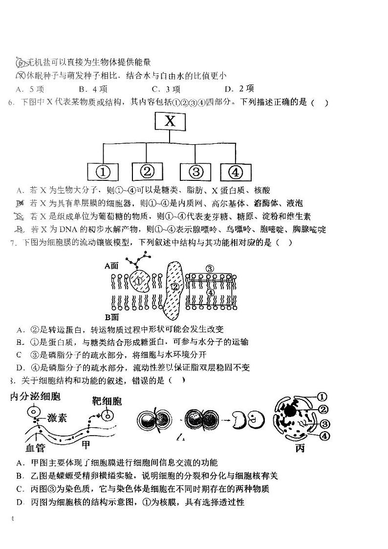 江西省抚州市南城一中2023—2024学年高一下学期开学考试生物试题第2页