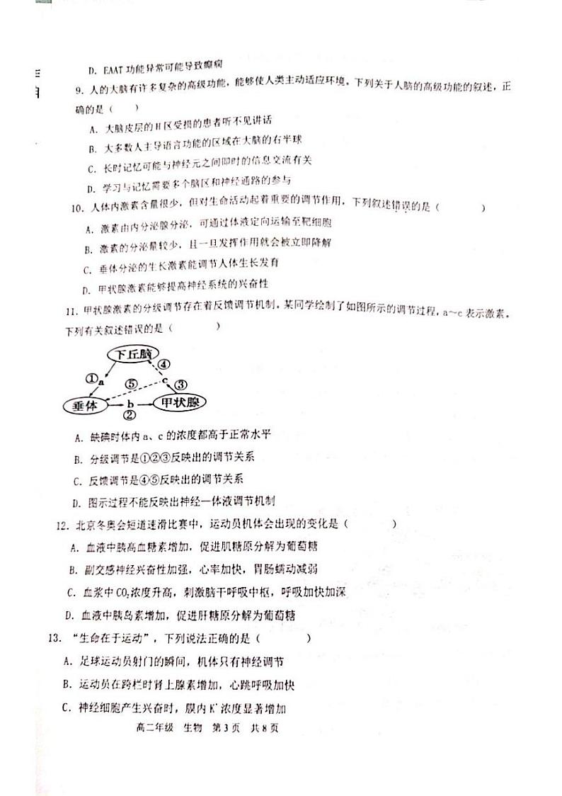 2024新疆喀什十四校高二上学期期末考试生物PDF版含答案第3页