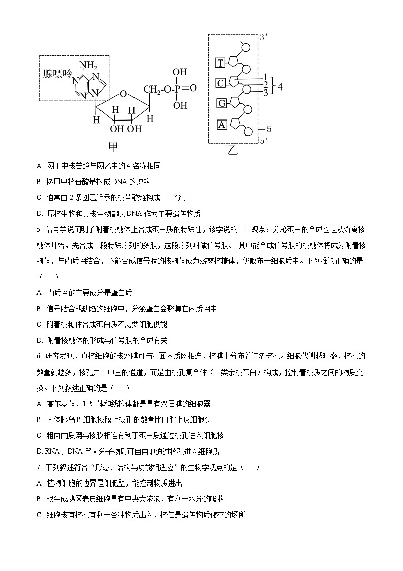 2024江西省名校联盟高一上学期1月期末考试生物含解析02