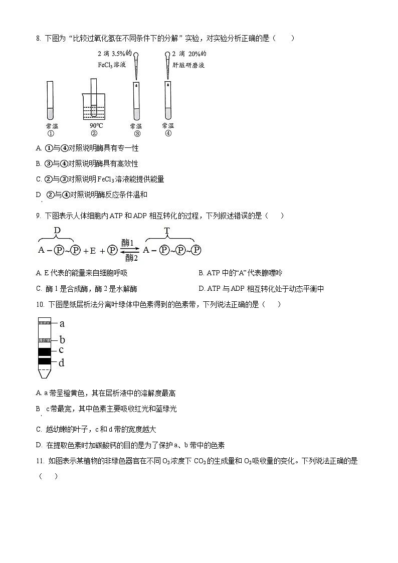 2024安康高一上学期期末考试生物含解析03
