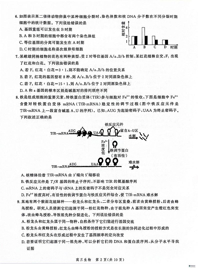 河北省2023-2024学年高三下学期2月大数据应用调研联合测评Ⅴ生物试题02
