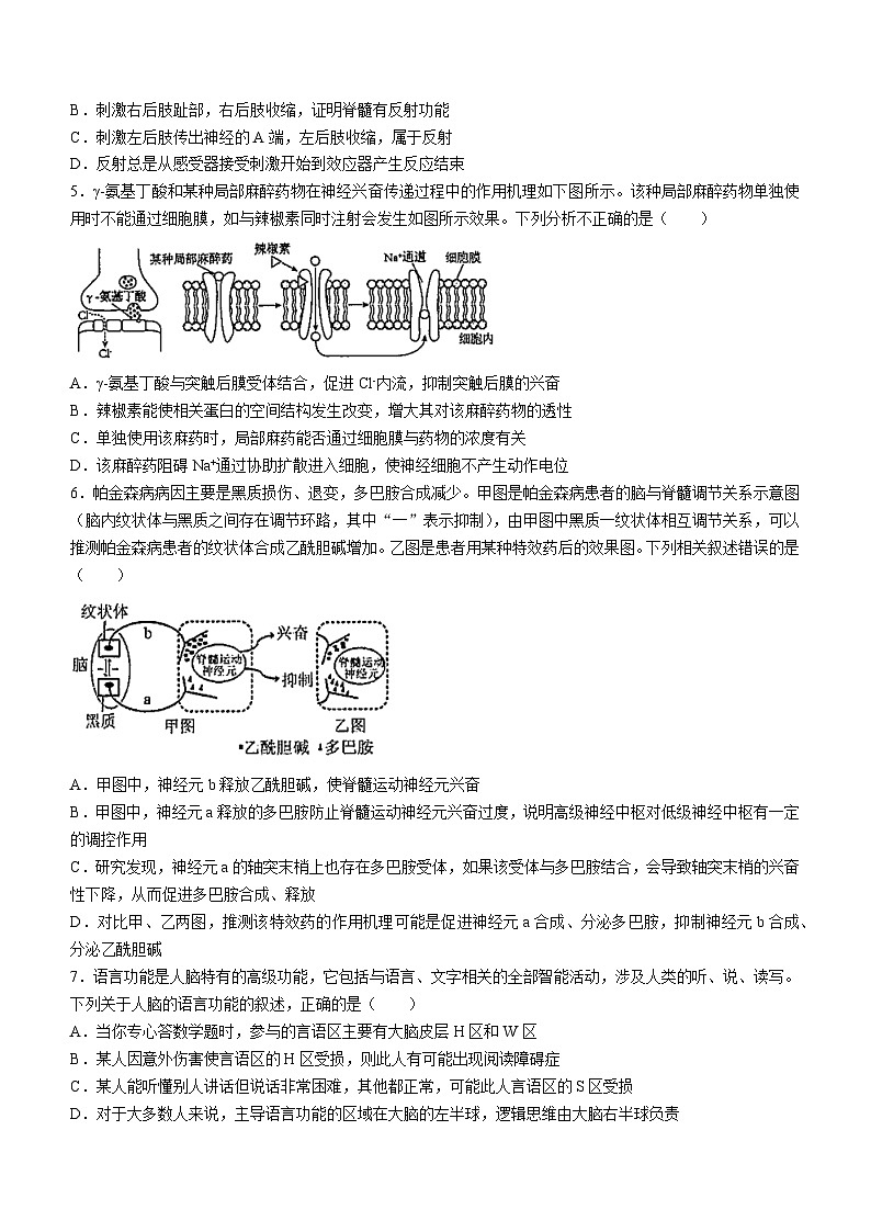 福建省厦门市双十中学2023-2024学年高二上学期期中生物试题02