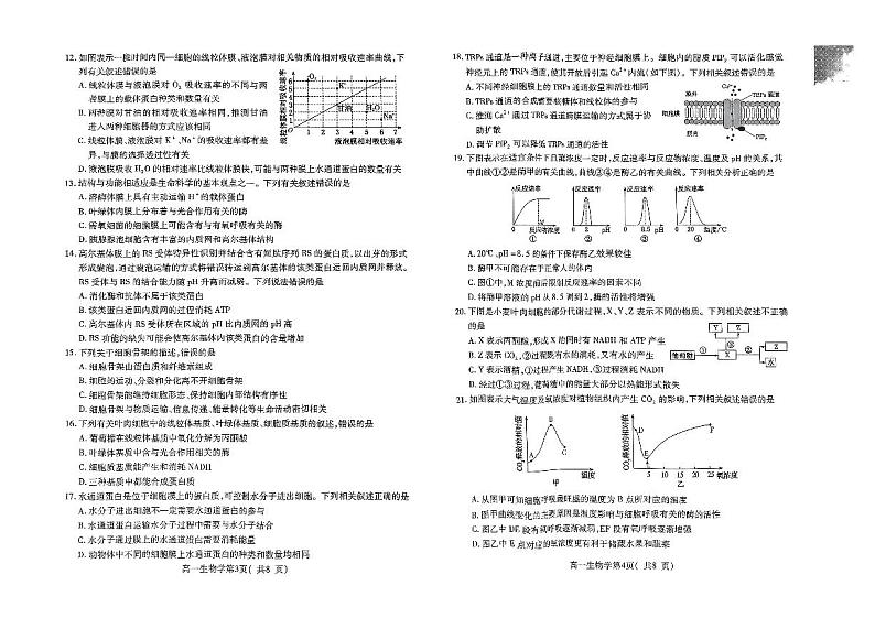 河南省许昌市2023-2024学年高一上学期期末考试生物试卷（PDF版附答案）第2页