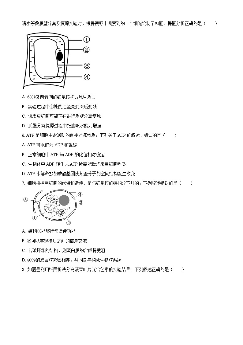 山东省日照市2023-2024学年高一上学期期末校际联合考试生物试卷（Word版附解析）02