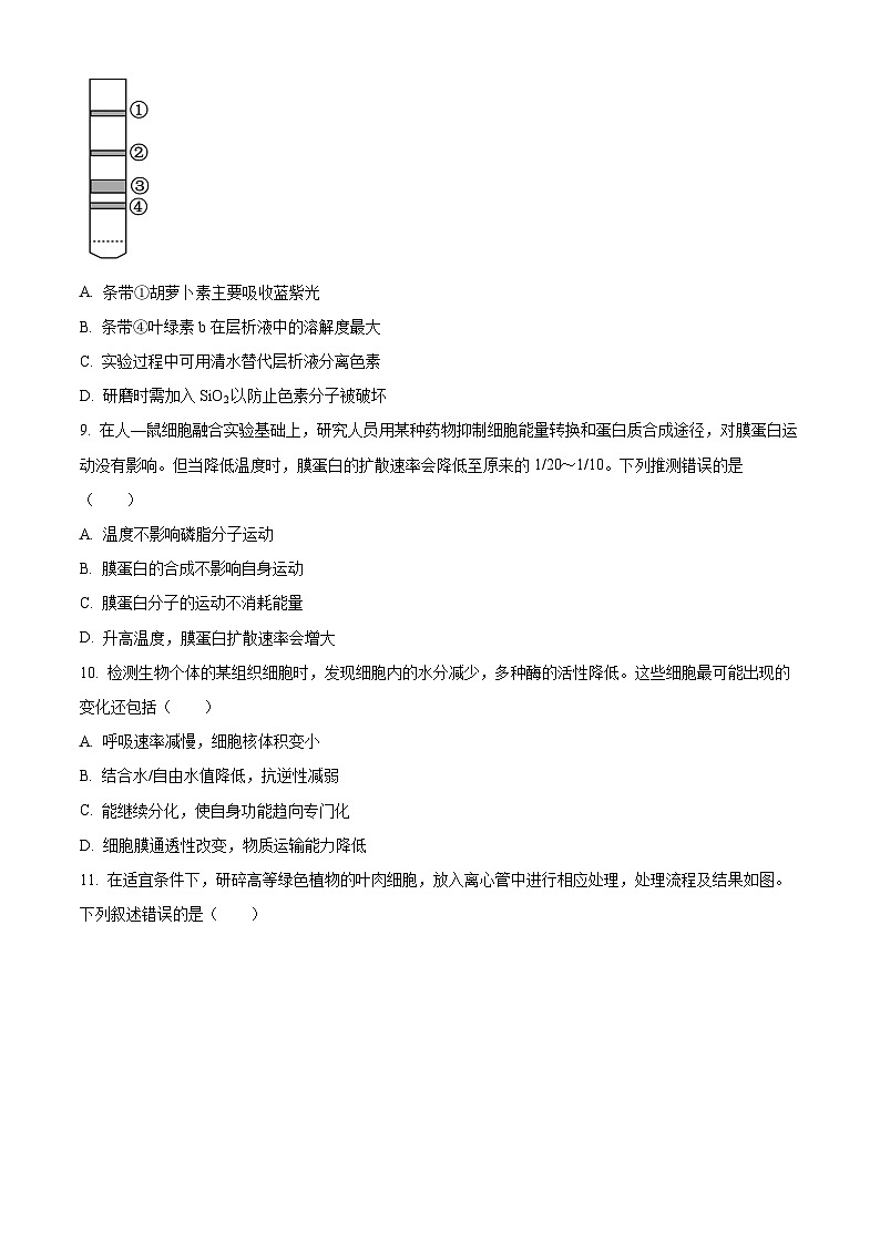 山东省日照市2023-2024学年高一上学期期末校际联合考试生物试卷（Word版附解析）03