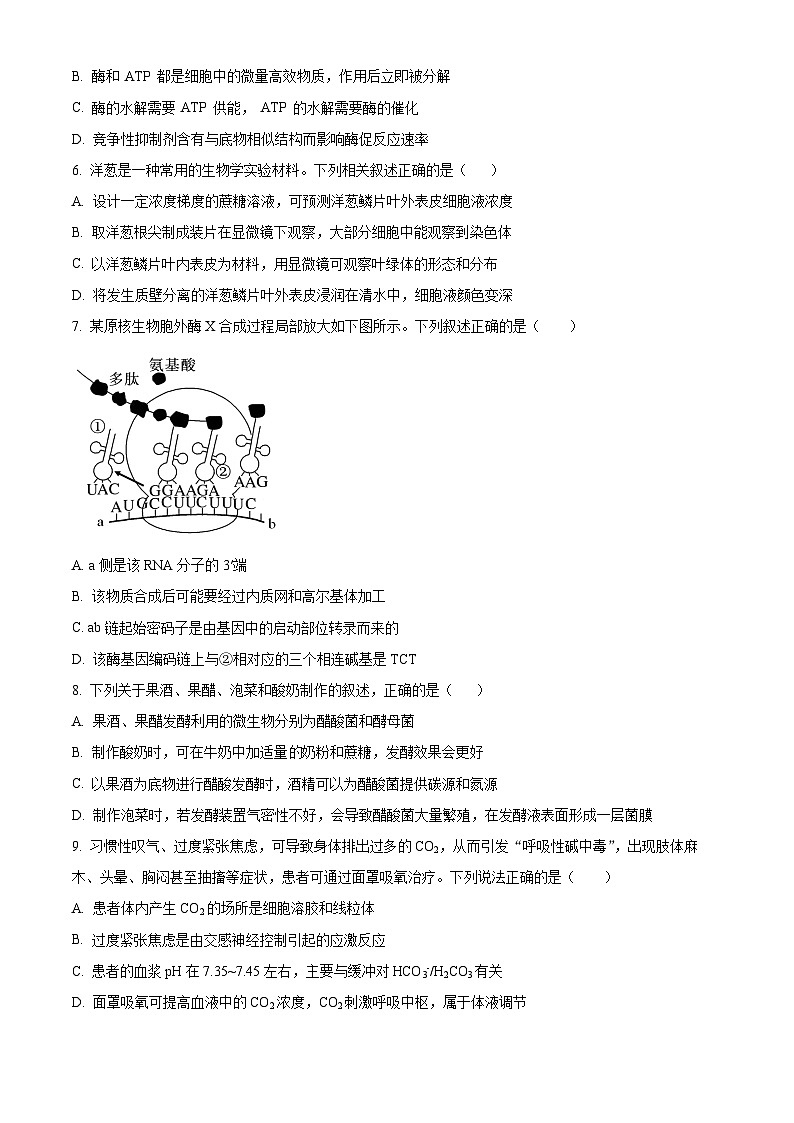浙江省金华市一中2023-2024学年高三下学期返校考生物试题（Word版附解析）02