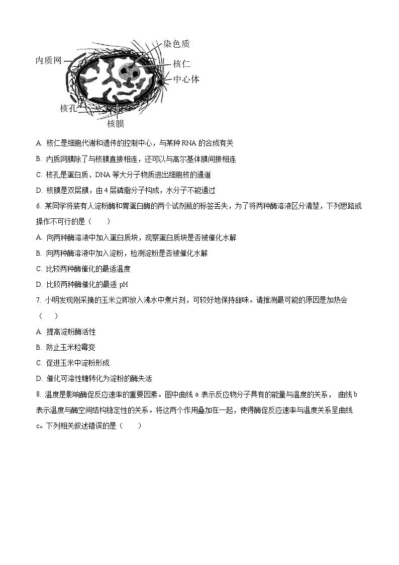 浙江省宁波市九校2023-2024学年高一1月期末联考生物试题（原卷版）第2页