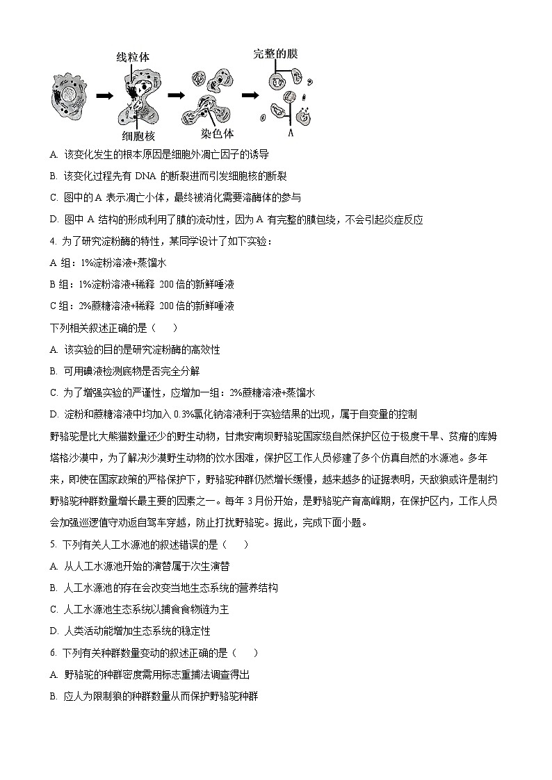 浙江省深研2024届高三2月选考模拟卷生物试题（Word版附解析）02