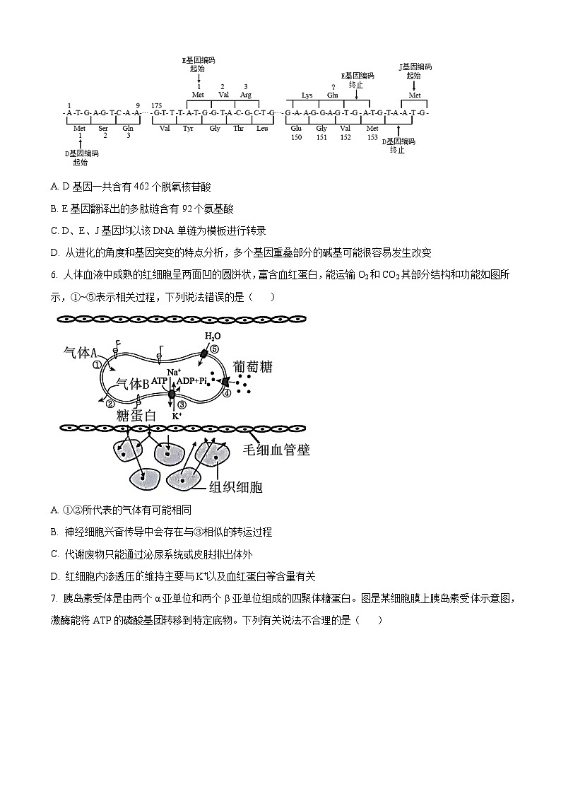 重庆市渝中区巴蜀中学校2023-2024学年高三下学期2月月考生物试卷（Word版附解析）03