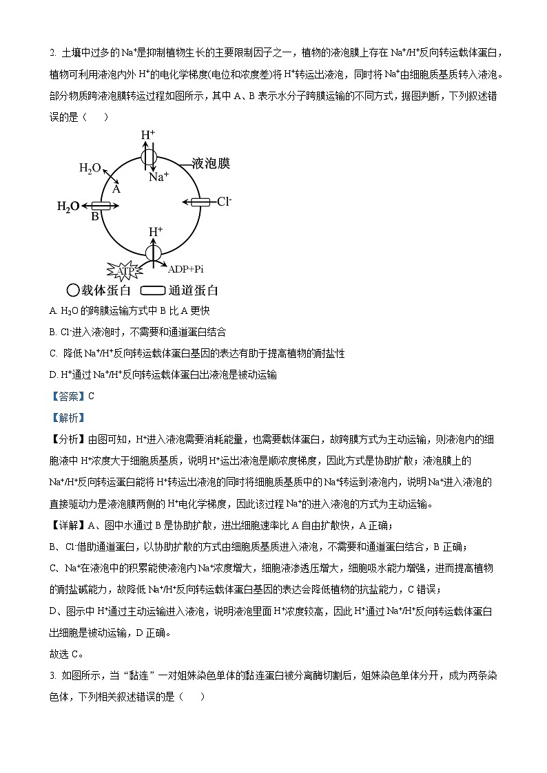 重庆市渝中区巴蜀中学校2023-2024学年高三下学期2月月考生物试卷（Word版附解析）02