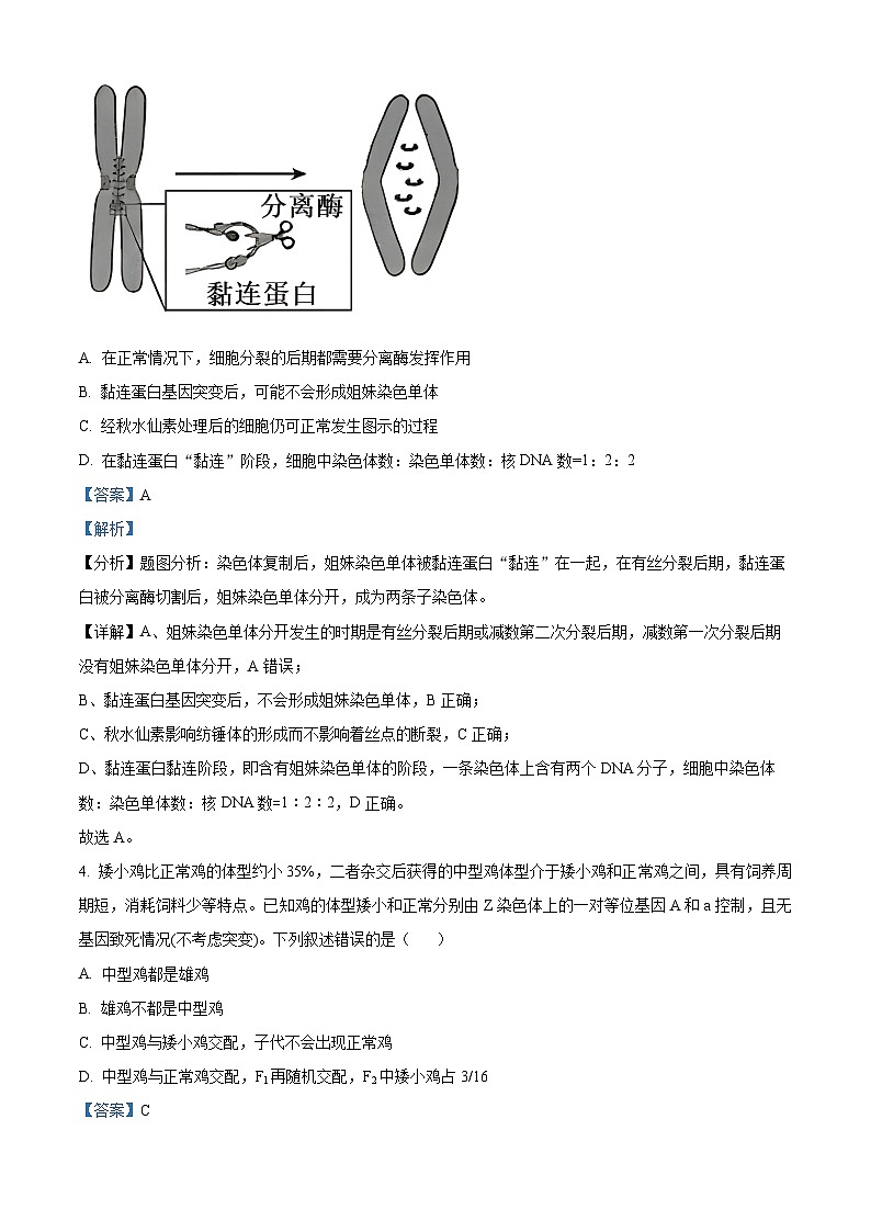 重庆市渝中区巴蜀中学校2023-2024学年高三下学期2月月考生物试卷（Word版附解析）03