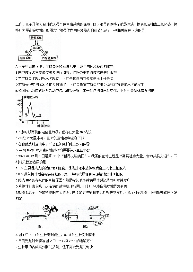 安徽省皖中联盟2023-2024学年高二上学期1月期末生物试卷（Word版附解析）02