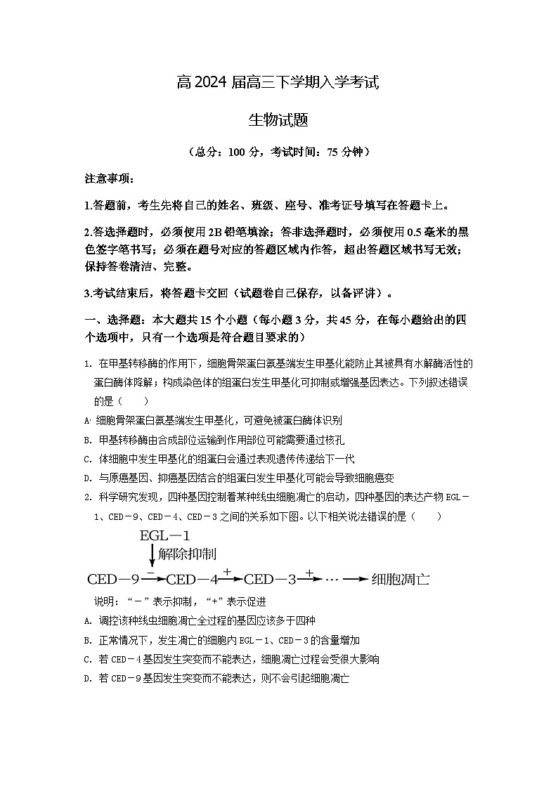 重庆市荣昌中学2023-2024学年高三下学期开学考试生物试卷（Word版附答案）01