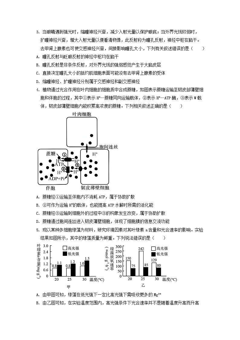 重庆市荣昌中学2023-2024学年高三下学期开学考试生物试卷（Word版附答案）02