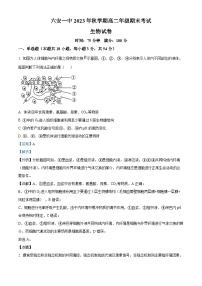 安徽省六安第一中学2023-2024学年高二上学期期末考试生物试卷（Word版附解析）